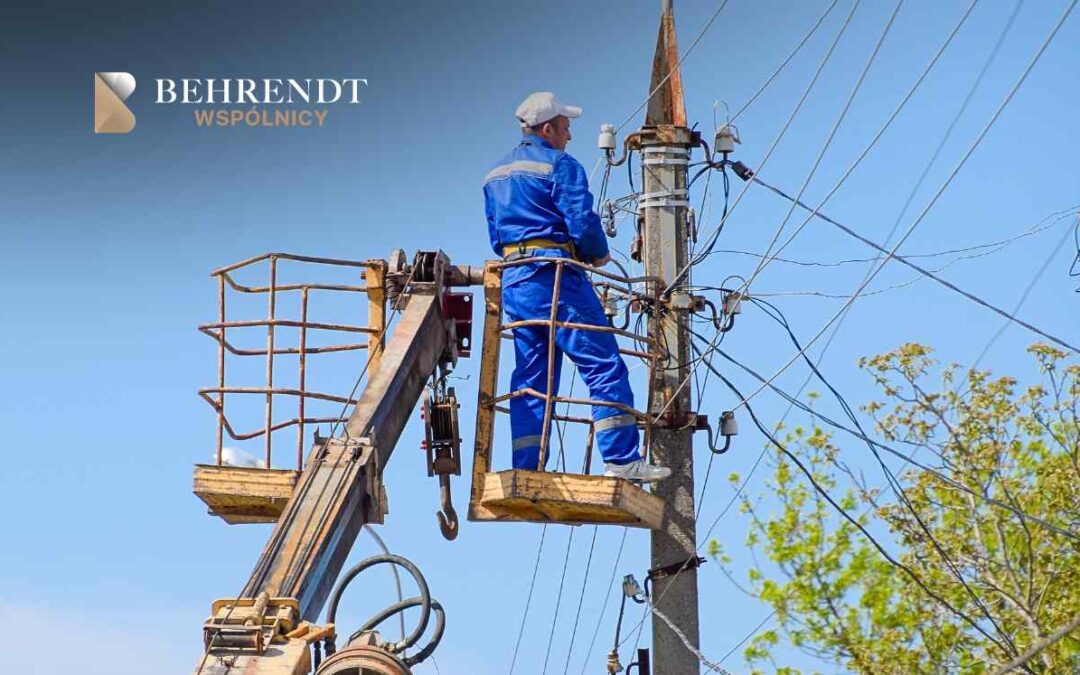 Jak żądać usunięcia słupów energetycznych z działki (roszczenie negatoryjne)?