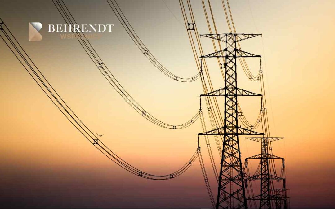 Jakie prawa przysługują właścicielowi, gdy słupy energetyczne obniżają wartość działki?