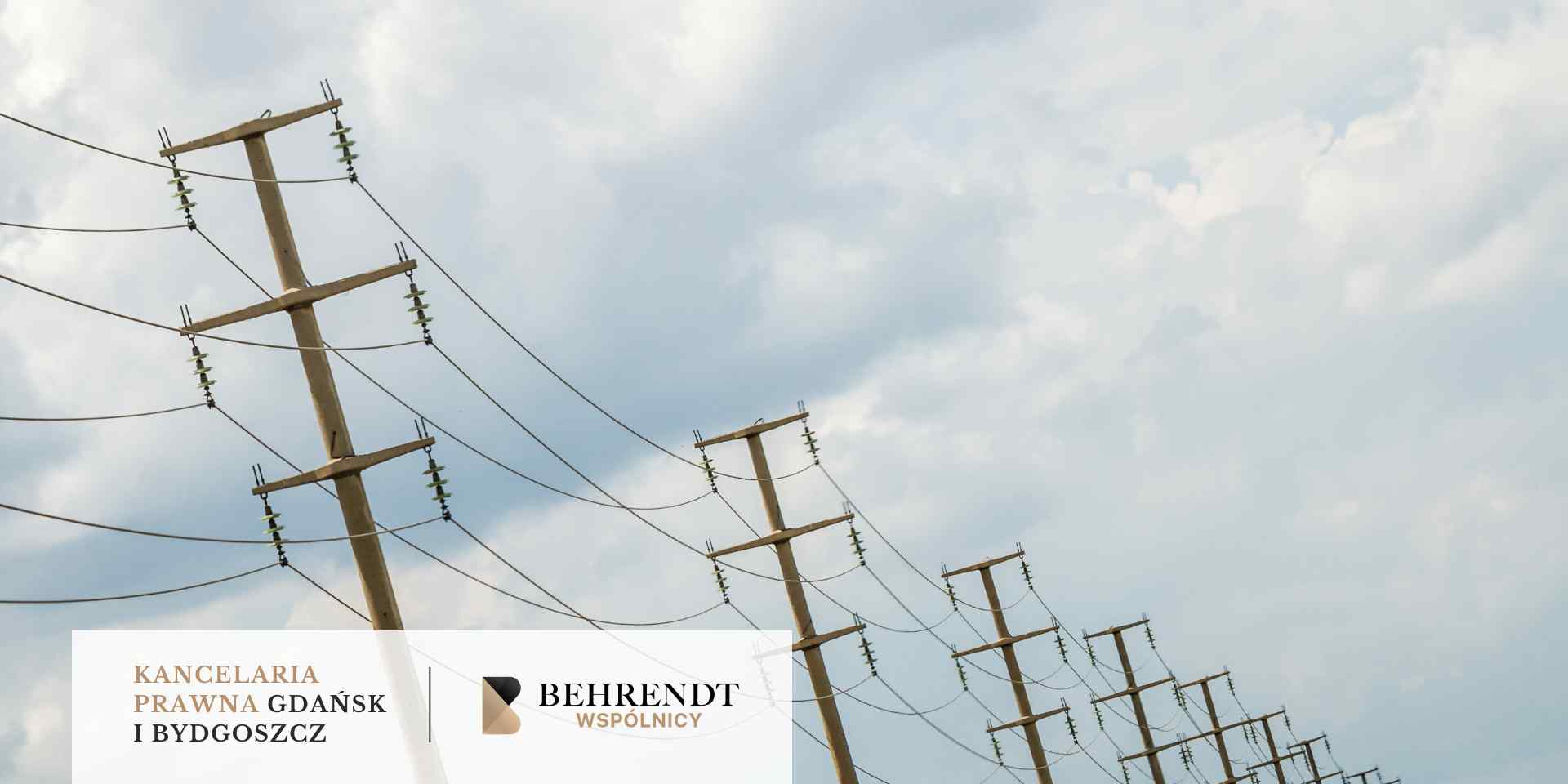 Szereg betonowych słupów energetycznych z wieloma przewodami wznosi się ku zachmurzonemu, jasnemu niebu.