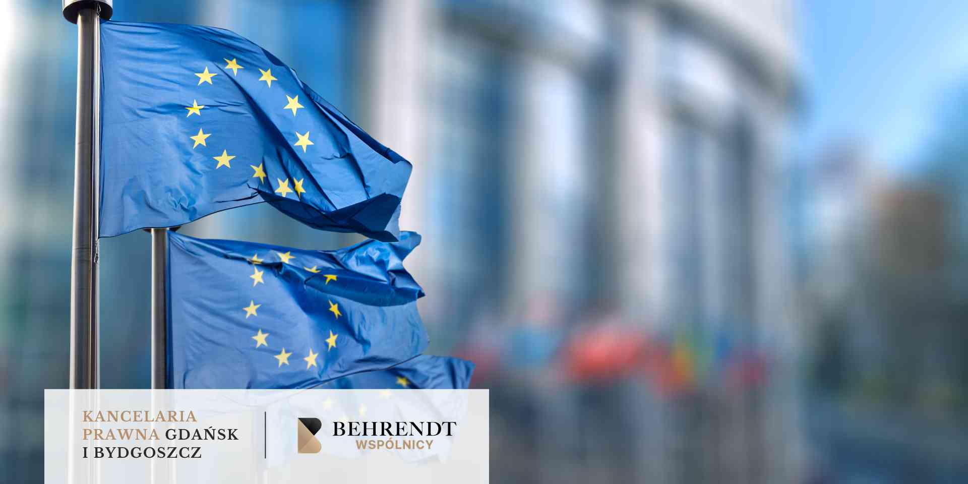 Osoba w ciemnym garniturze przegląda plik białych dokumentów trzymanych w dłoniach.