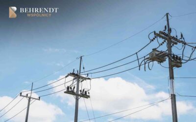 Czy dostanę wynagrodzenie za posiadanie słupa elektrycznego w ogrodzie?